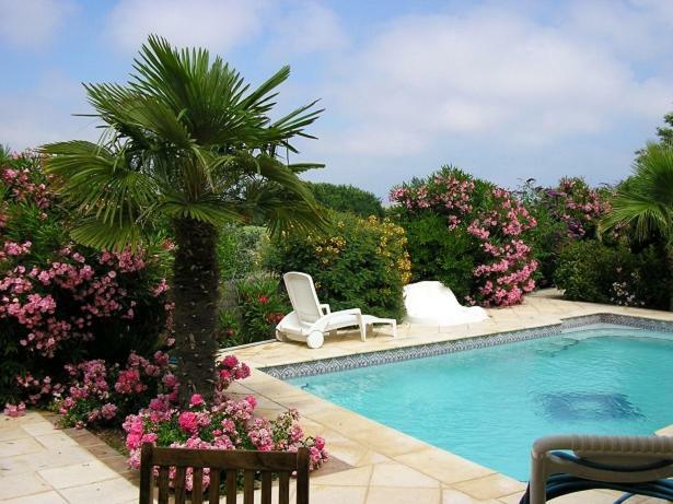 Villa Avec Piscine アグド エクステリア 写真